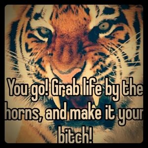 Independence, strength, confidence,,prosperity